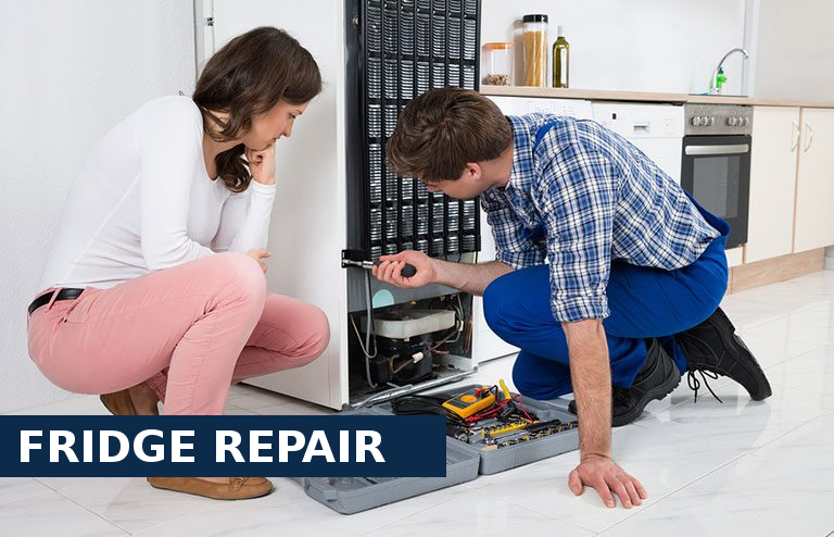 Fridge Repair Walton-on-Thames